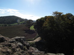 SX16657 View over fields from top of Goodrich Castle keep.jpg